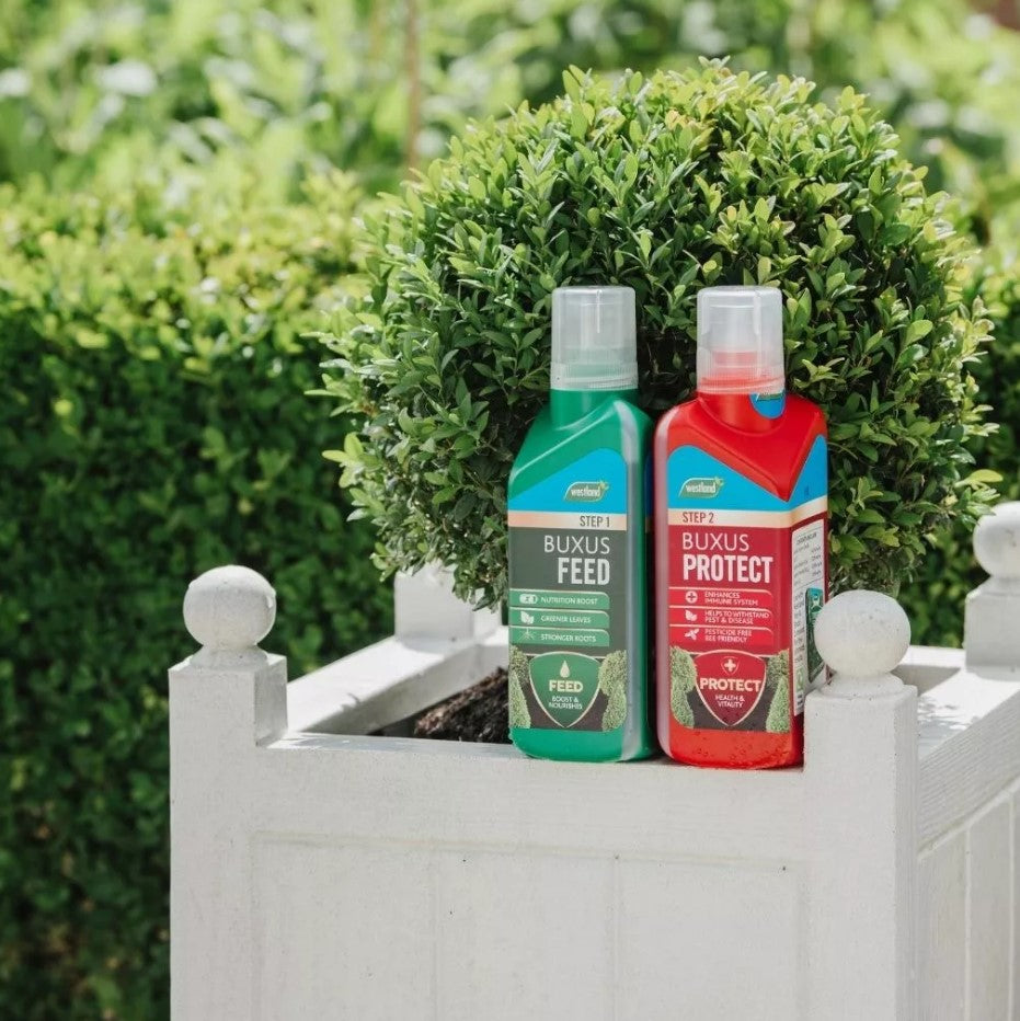 Westland 2 In1 Feed/ Protect Buxus 2 X 500ml