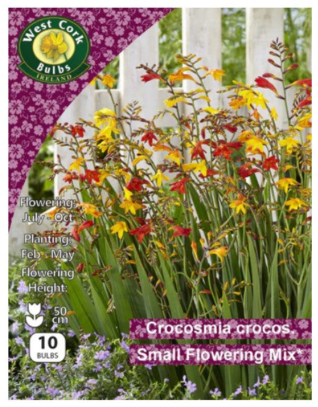 Crocosmia Small Flowering Mixed - 10 Bulbs