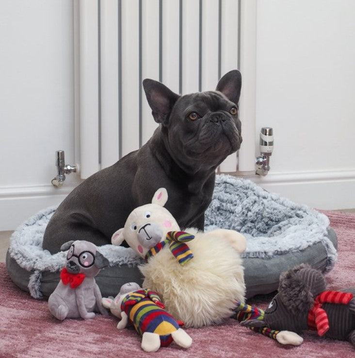 Komfort Donut Pet Bed