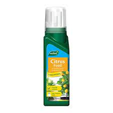 Westland Citrus Feed Concentrate 200ml
