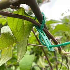 Adjustable Plant Ties 17cm - 50pack