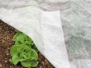 Plant Protection Fleece 10x1.6m