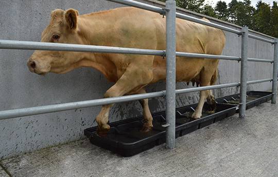 Narrow Interlocking Footbath Smooth