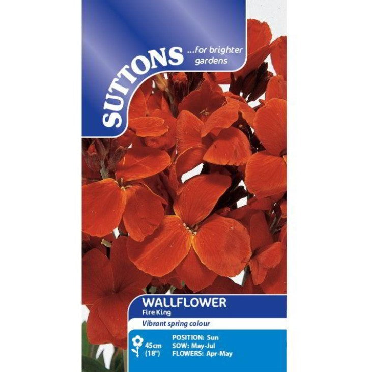 Wallflower Fire King Flower Seeds
