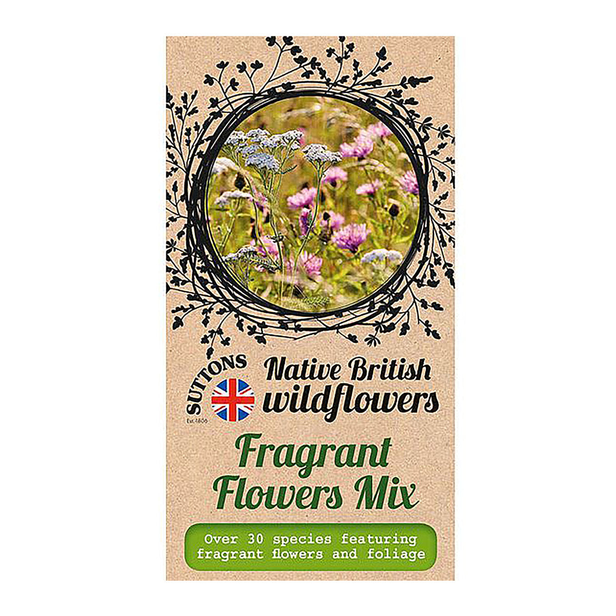 Flower Garden Fragrant Mix Flower Seeds