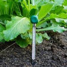 Soil Thermometer
