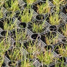 Safagrass Rubber Mat - 1.5m x 1m