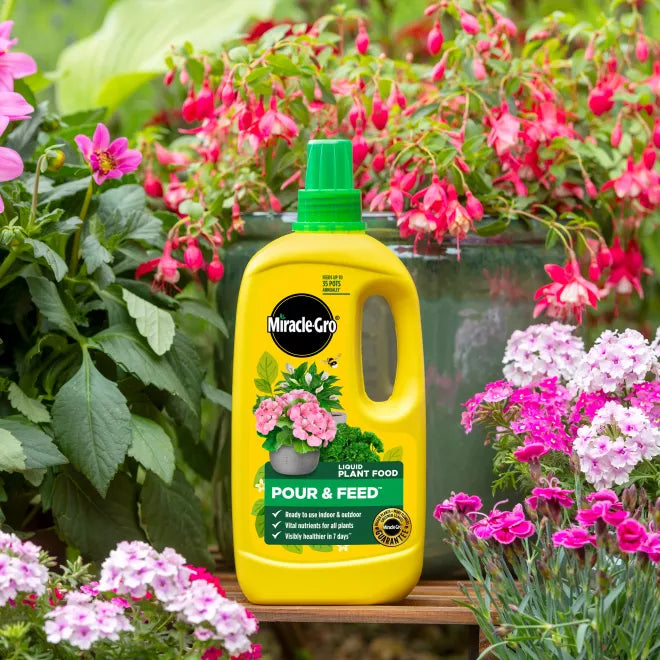 Miracle-Gro Pour & Feed RTU Plant Food 1L