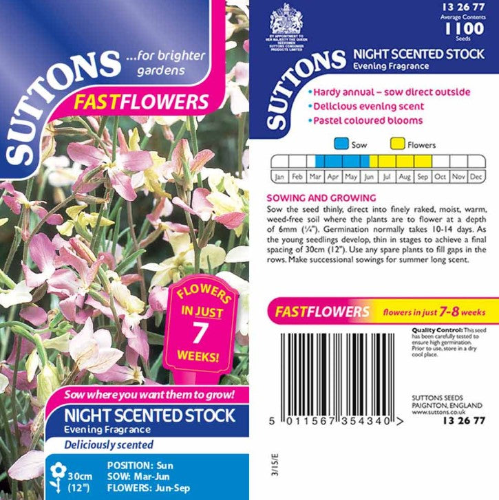 Night Scented Stock Flower Seeds