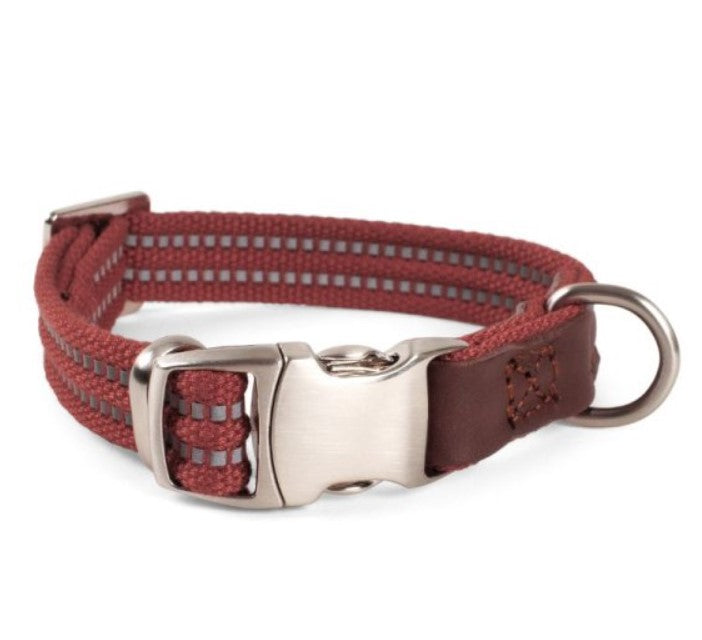 Primo Dog Collar - Burgandy
