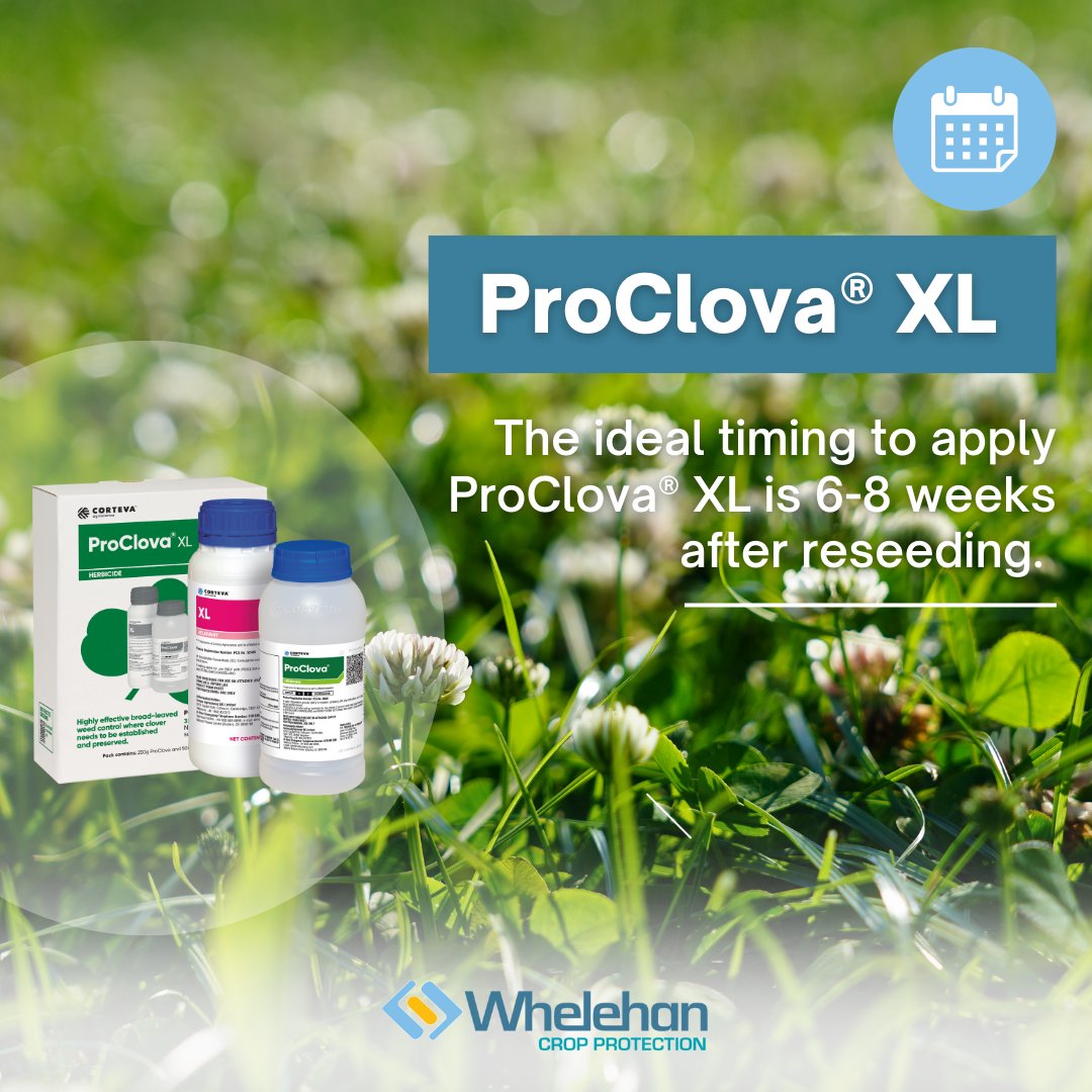 Proclova XL Pack