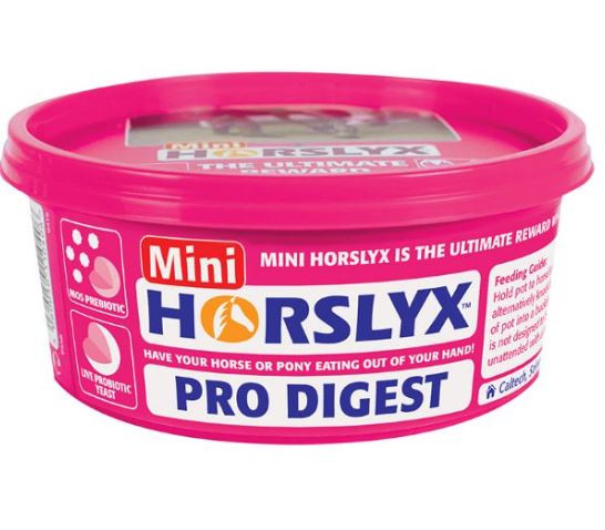 Horslyx Pro Digest Mini 650g