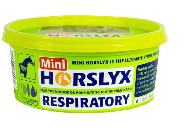 Horslyx Respiratory Mini 650g