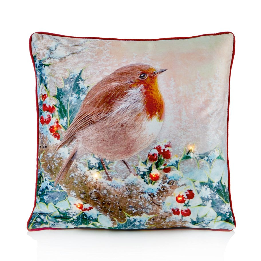 Lit Robin Cushion - 45x45cm