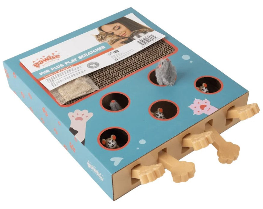 Pawise Fun Plus Play Scratcher