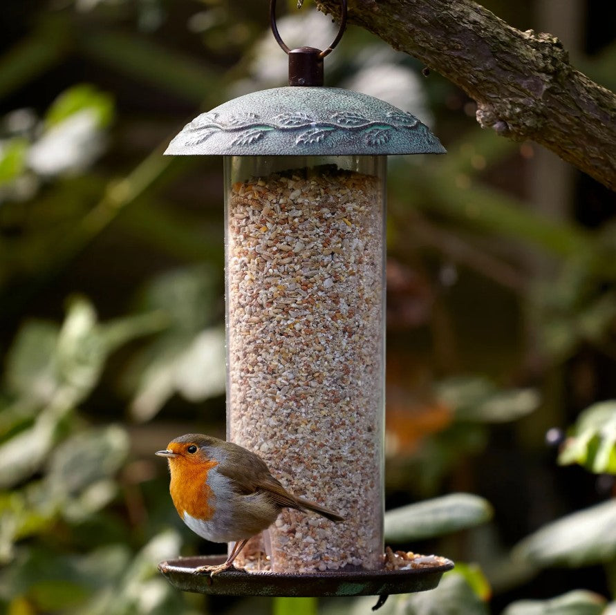 Peckish Secret Garden Bird Seed Feeder