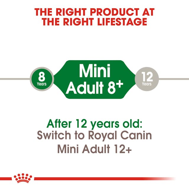 Royal Canin Dog Food Mini Adult 8+