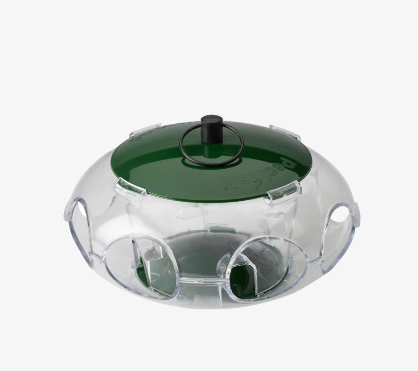 Peckish Small Bird Seed Feeder