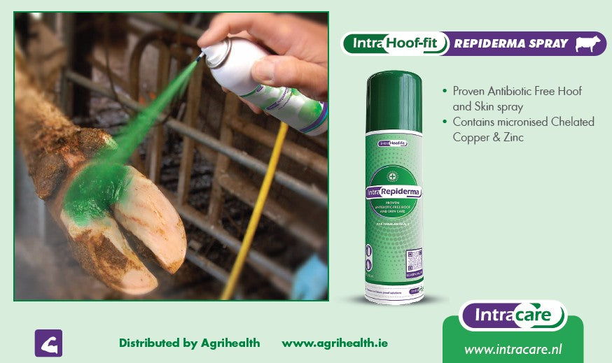 Intra Repiderma Aerosol 250ml