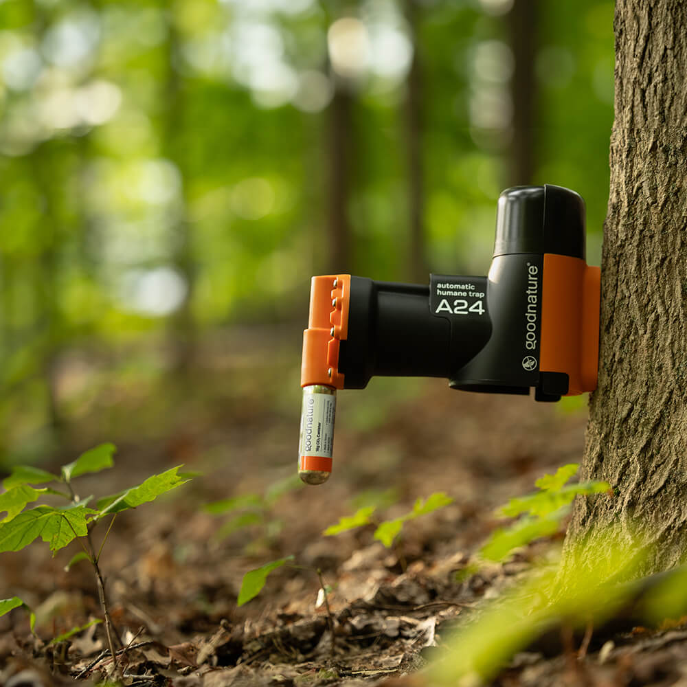 Good Nature Starter Rat Trap Set