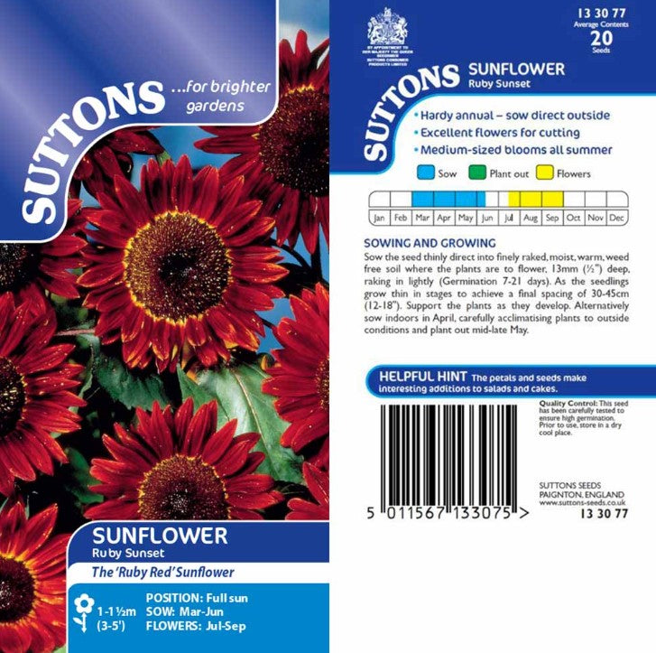 Sunflower Ruby Sunset Flower Seeds