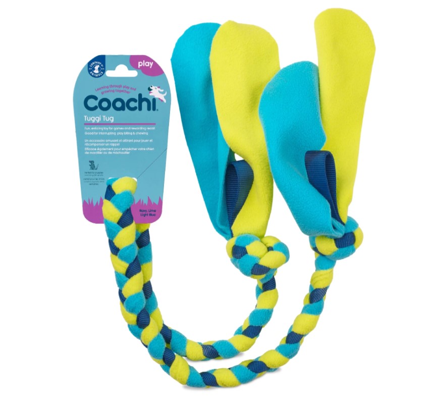 Coachi Tuggi Tug Dog Toy - Navy Lime & Light Blue