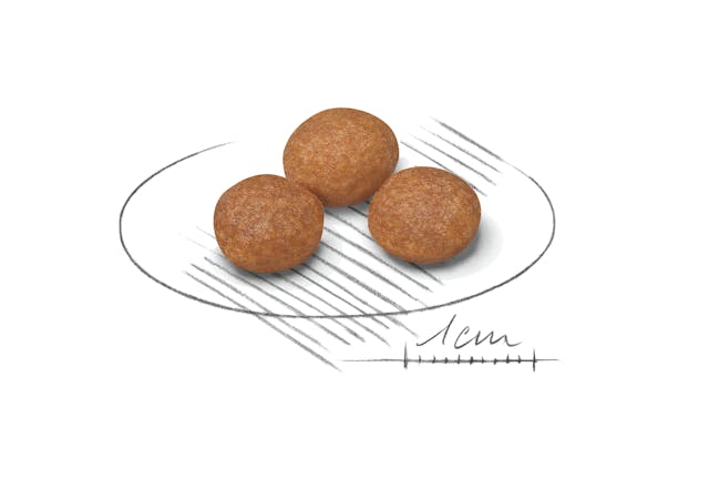 Royal Canin X-Small Adult 8+