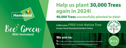 120,000 Trees Planted - Homeland's 30,000 Trees Initiative 2024