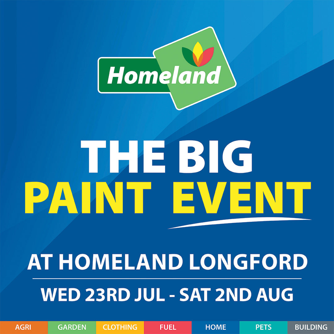 The Big Paint Event - Homeland Longford