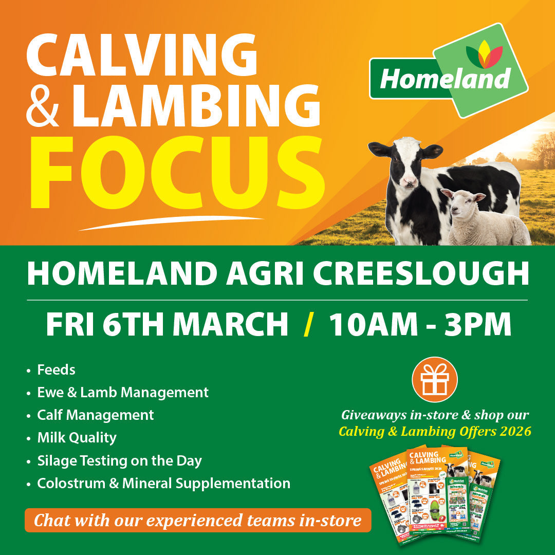 Upcoming Event: 6th March - Calving & Lambing Focus - Homeland Agri Creeslough