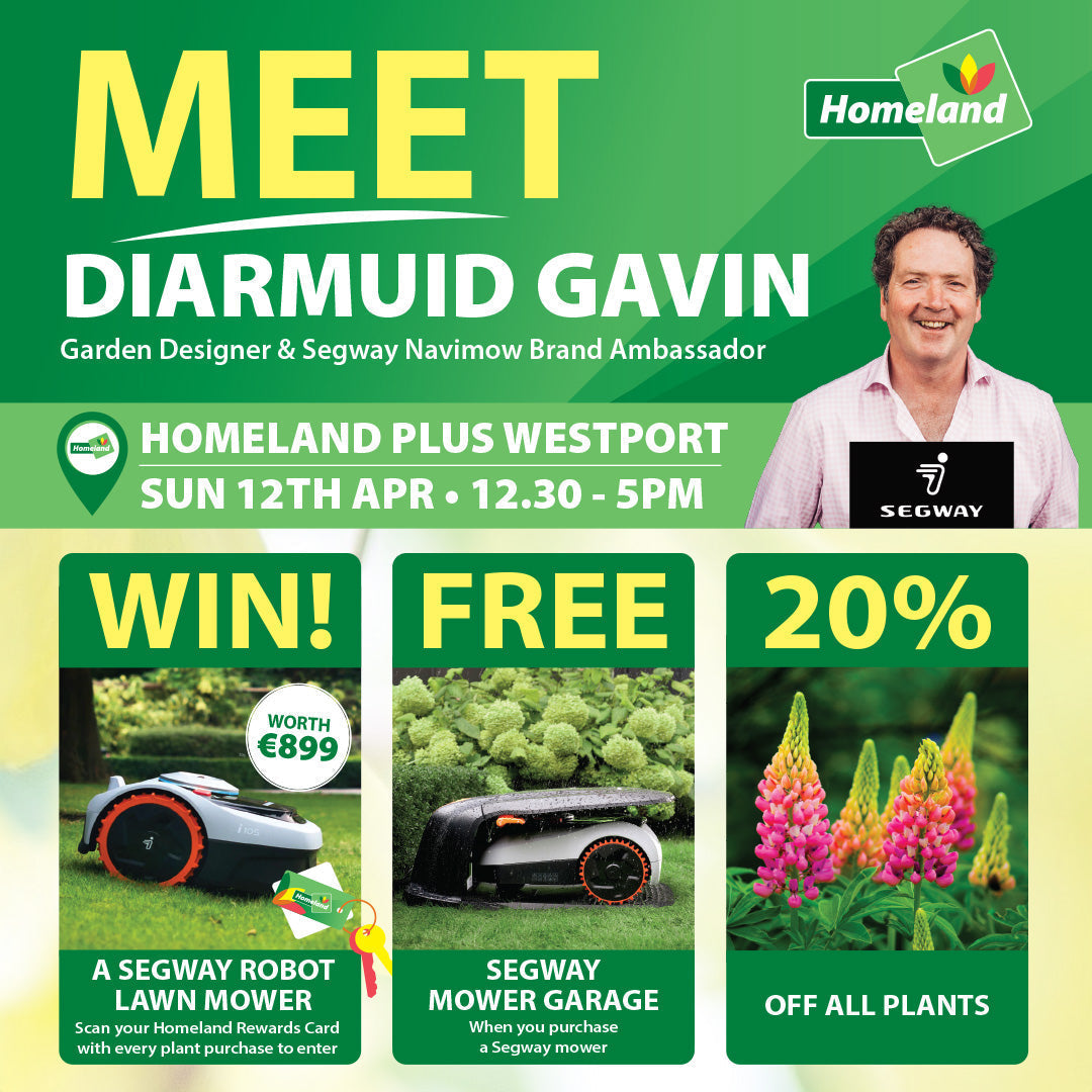 Event Catch Up: Diarmuid Gavin at Homeland Plus Westport - 12th April 2026
