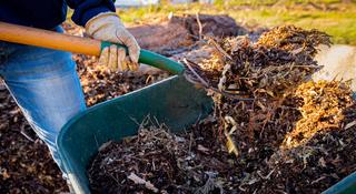 Mulching Your Flower Borders