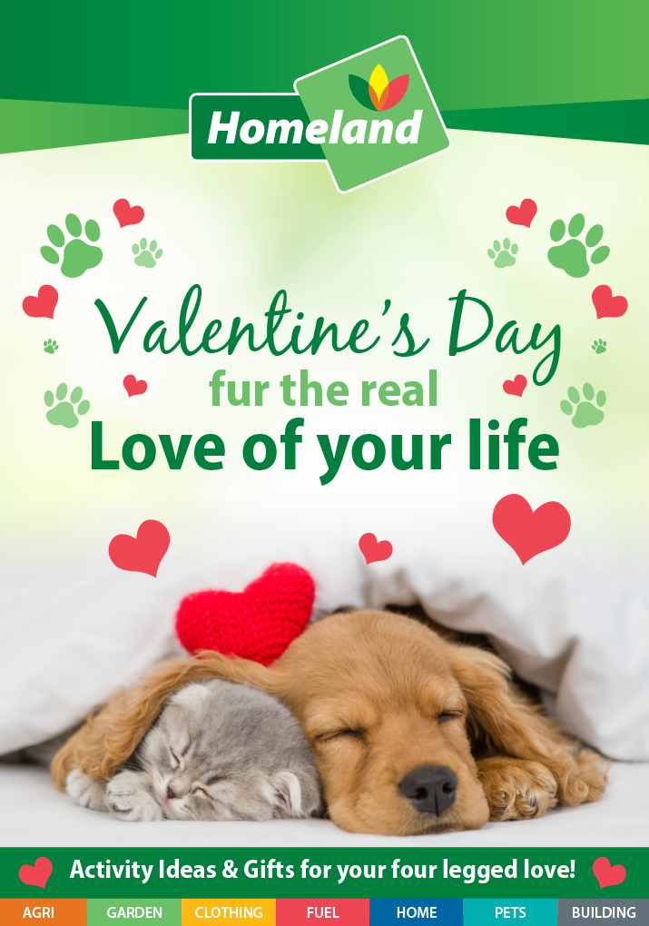 Pamper your Pet this Valentine's Day with Homeland