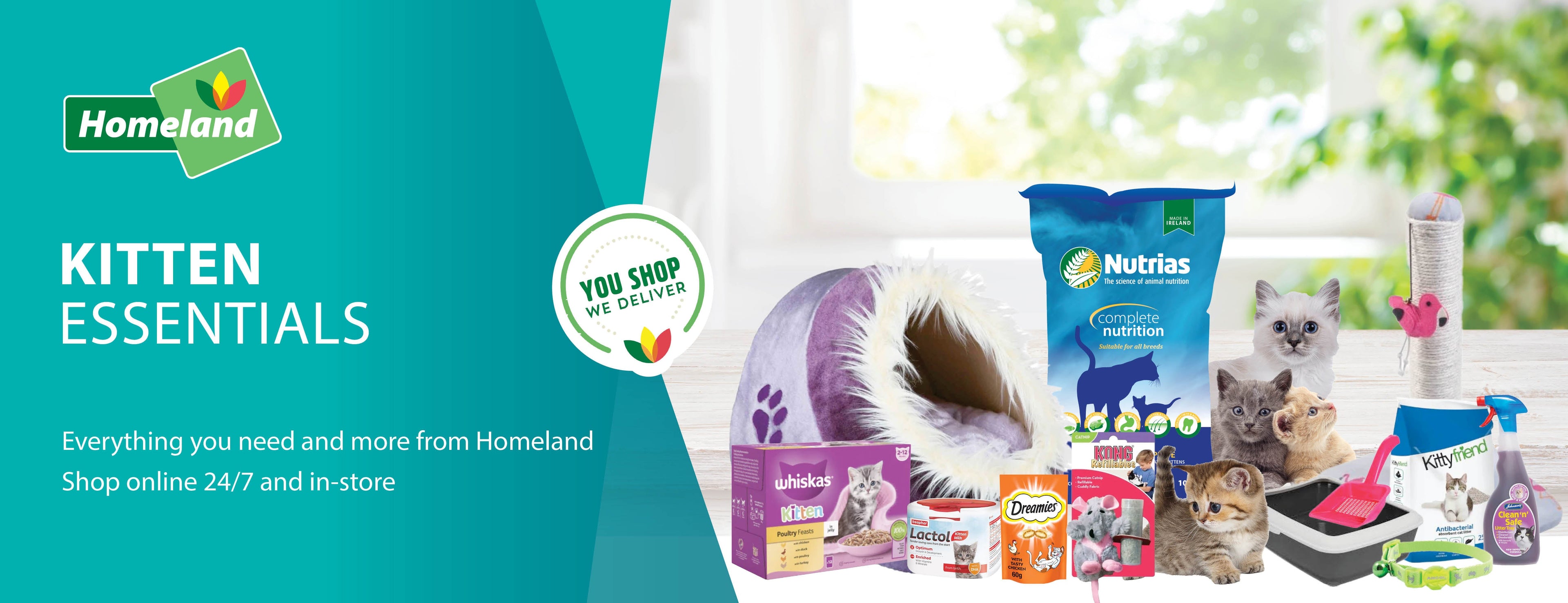 Kitten Essentials
