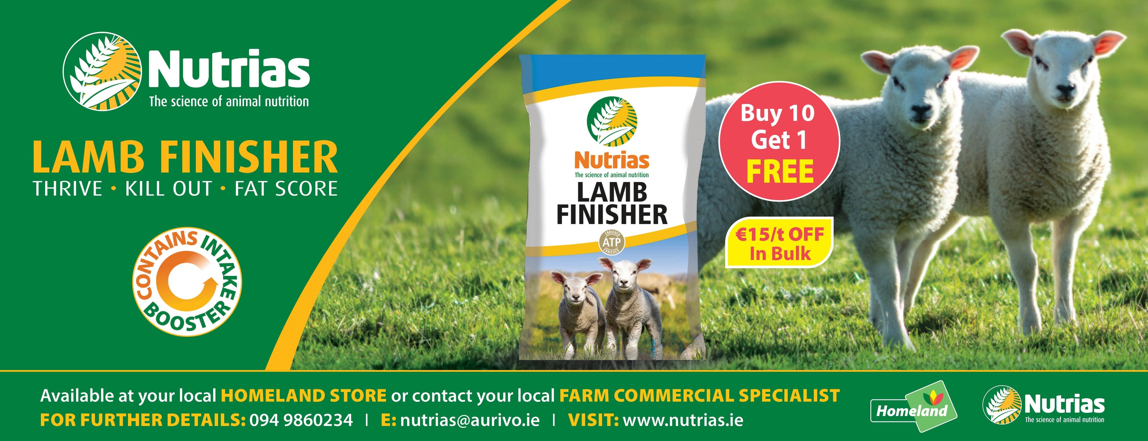 Sheep & Lamb Feed