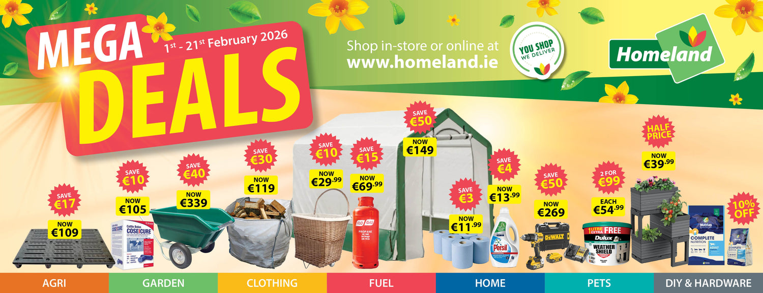 February Mega Deals 2026