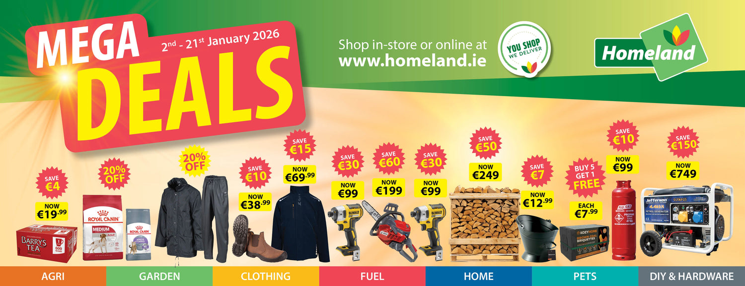 January 2026 - Mega Deals