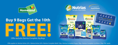 July Pet Offers