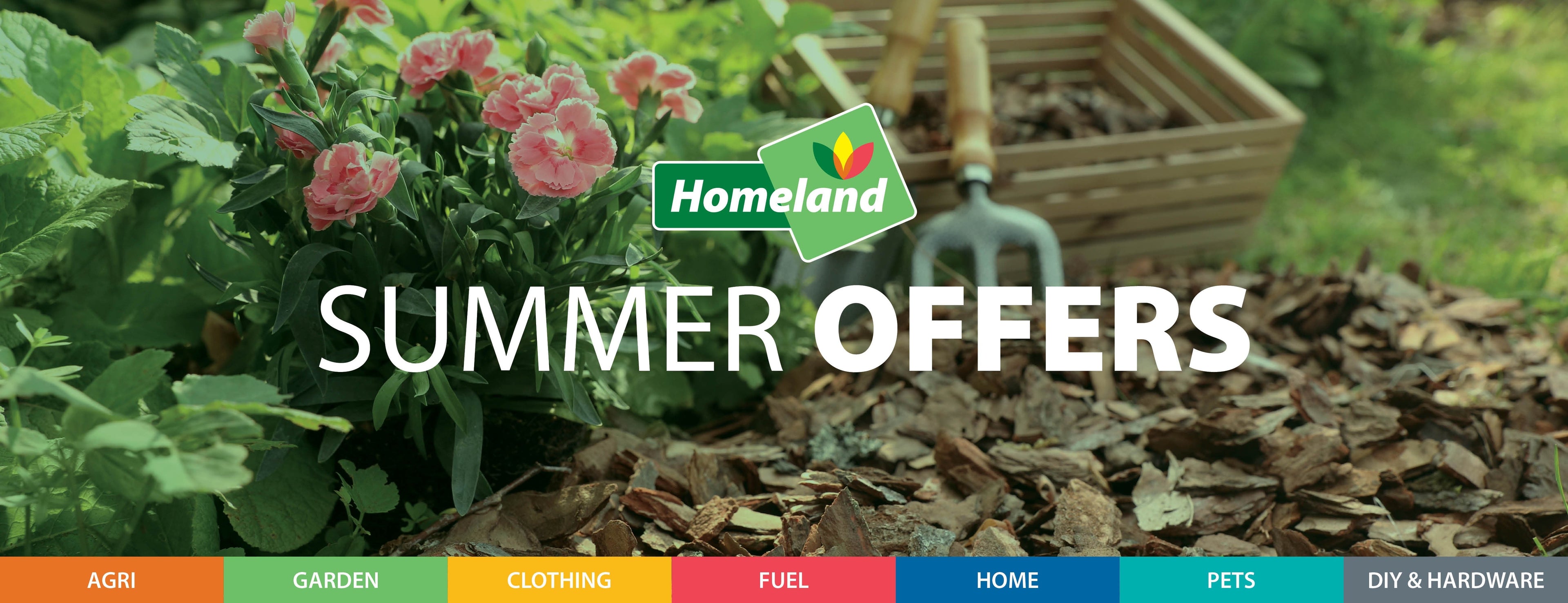 Summer Offers