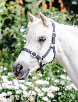 NYLON HEADCOLLAR PONY NAVY