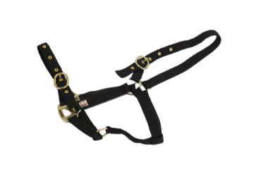 NYLON HEADCOLLAR SUCKLING BLACK