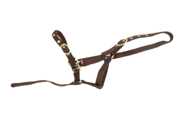 NYLON HEADCOLLAR SUCKLING BROWN