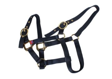 NYLON HEADCOLLAR FOAL NAVY