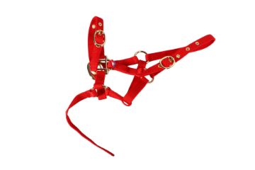 NYLON HEADCOLLAR SUCKLING RED