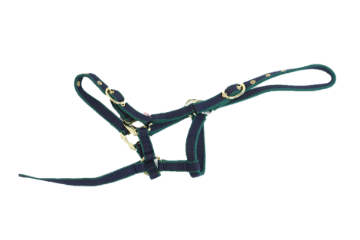 NYLON HEADCOLLAR SUCKLING NAVY/GREEN