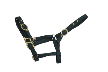 NYLON HEADCOLLAR WEANLING NAVY/GREEN
