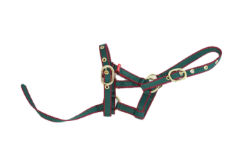 NYLON HEADCOLLAR SUCKLING GREEN/BURGUNDY