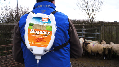 Moxodex