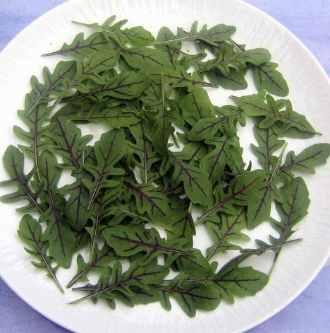 Leaf Salad &