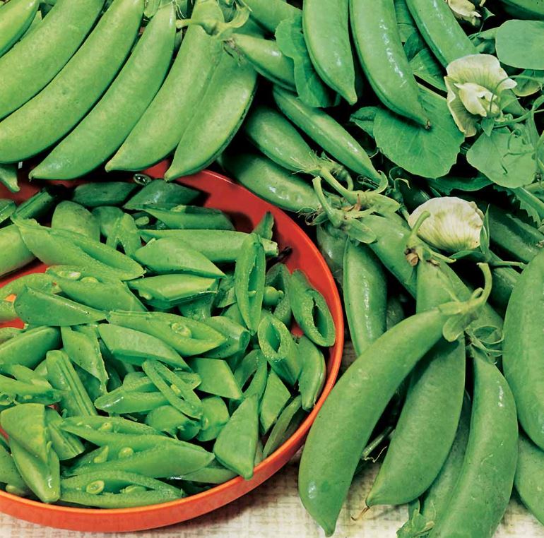 Pea Sugar Snap &